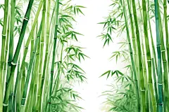 清新纯净中国风竹子竹林自然风景插画