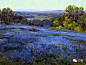 美国印象派油画家 Julian Onderdonk - 画画老马 - 画画老马