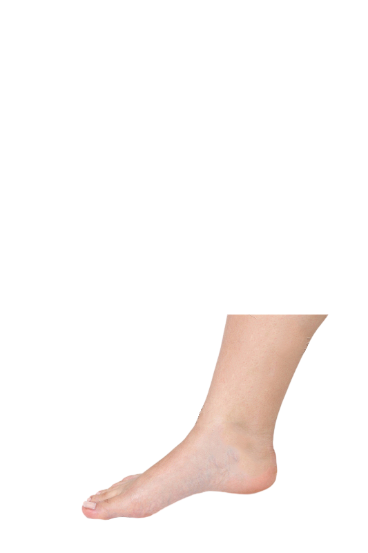 脚