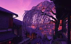 WE、Joker采集到风景
