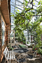 归园田居，瑞典温室住宅
Tailor Made arkitekter  木材  温室  玻璃

瑞典建筑师Bengt Warne于上世纪70年代首次提出了有机住宅的理念。巨大的温室建筑笼罩在以隔热材料打造的生活空间之外，在北方的寒冬中形成一个温暖舒适，不受风雪侵扰的“户外空间”。 宜人的气候条件让居住者得以种植南方的果蔬，而内外的温差则有利于空气的自然流动。有机住宅最大化了太阳能的利用，其附带的在地废水循环系统和建造所用的环保材料等意味了其将成为低耗能建筑的典范。
