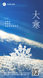 大寒节气雪花特写祝福手机海报