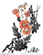 中国国画-橙色花卉下载，现在加入素材公社即可参与传素材送现金活动