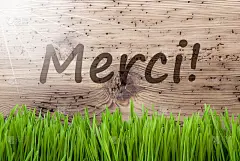 明亮的阳光木制背景，Gras, Merci意思是谢谢你