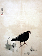 徐悲鸿-禽鸟册 (12)