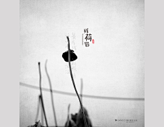 ~灵希~采集到黑白荷花摄影