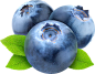 blueberries_PNG36.png (1065×827)
