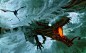 Dragons of Middle earth collection