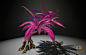johan-de-leenheer-alien-plant-4-92