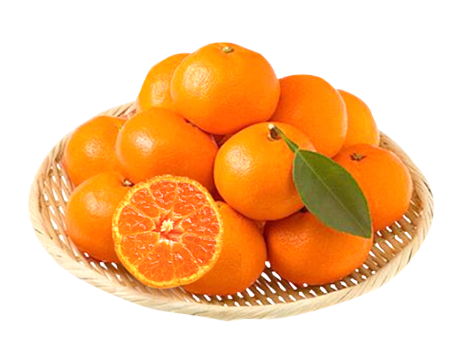砂糖橘 橘子png