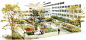 校园医院及广场景观设计