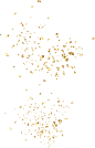 金片