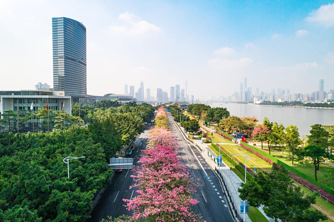 道路两侧绿化