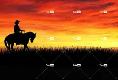 牛仔 美丽的壁纸 马 轮廓 男人 西 笔记本电脑壁纸 动物