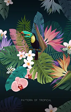 热带植物动物火烈鸟psd分层海报设计素材手绘插画背景森林树叶 (1)