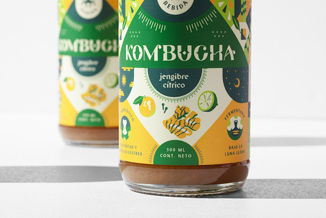 Vida Bebida Kombucha...