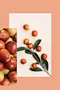 Fruit Fun 水果味 : Fruit color fun
