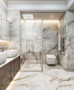 🎐鰻魚采集到Hotel-Toilet