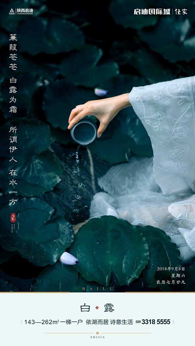 白露