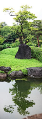 Japanese garden: 