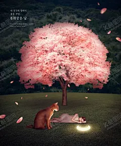 创意儿童海报 【酷图网】创意儿童海报,可爱,孩子,创意摄影,儿童趣味摄影,创意背景,影楼背景,儿童写真,创意海报