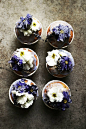 ... lavender cupcakes with candied primroses ... Twigg Studios