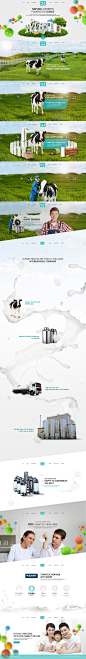 Love'in Farm - A milk brand corporatesite : This's first project which make me happy through a week. I love my works. Love milk. Love flying in creative, design