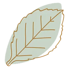 古希腊北欧罗马秋季手绘神秘太阳月亮装饰免抠PNG图案 PS手账素材 (17)