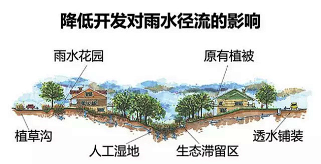 什么是“海绵城市”|干货分享，全方位解读
