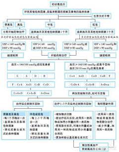 青春极致采集到健康