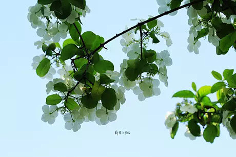 豆瓣