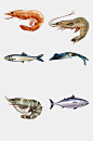 手绘海鱼海虾免抠元素素材