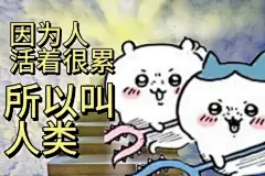 阴阳怪气表情包_10_小荷向东流_来自小红书网页版