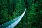 Capilano-Suspension-Bridge-in-Vancouver-Canada.jpg (1783×1177)