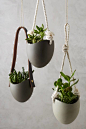 Riverstone Wall Planter by Farrah Sit