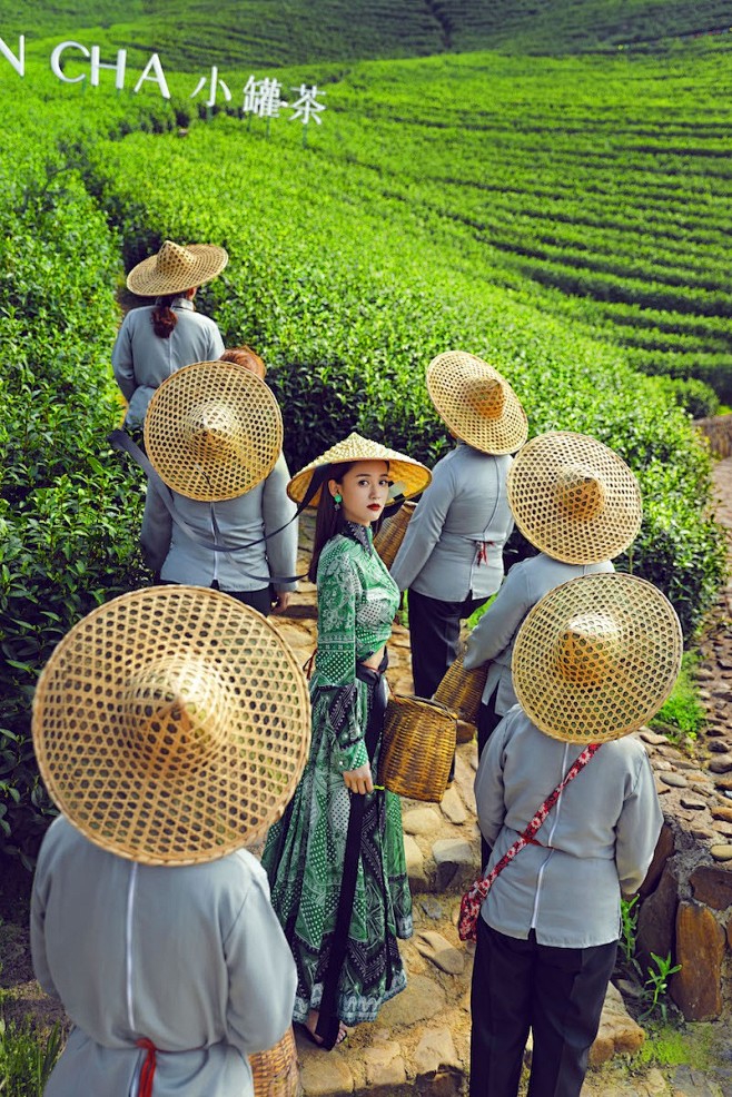 传统和潮流的结合陈乔恩演绎茶文化的和谐美...