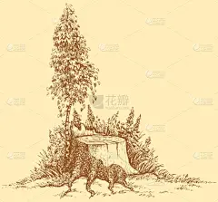 矢量景观。年轻的桦木附近老树桩