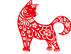 許、一世安逸采集到宠物