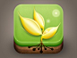 wheat knowledge icon  by PhoebeZhuang