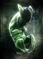 ArtStation - Cell Embryo, Santiago Betancur