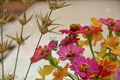 壁纸背景上的假花束
