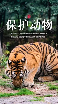 保护动物 【酷图网】狗,保护动物,爱护动物,保护动物海报,寻找动物宣传,寻找动物海报,动物宣传海报,无彩色海报,高级感,高级感海报,公益海报,保护性海报,保护流浪狗,颜色搭配,公益宣传,动物保护协会,爱护动物宣传,爱护动物海报,保护狗狗,爱护狗狗,狗狗海报,海报,宣传海报,