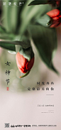 妇女节