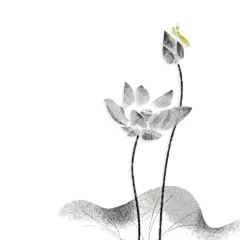 中国风水墨荷花莲花插图清新手绘荷花莲花