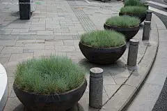 花钵车挡3