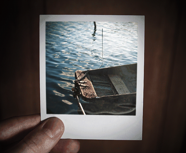 Julien Douvier的作品