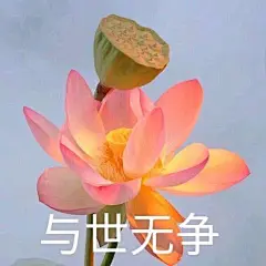 土酷表情包 佛系 与世无争