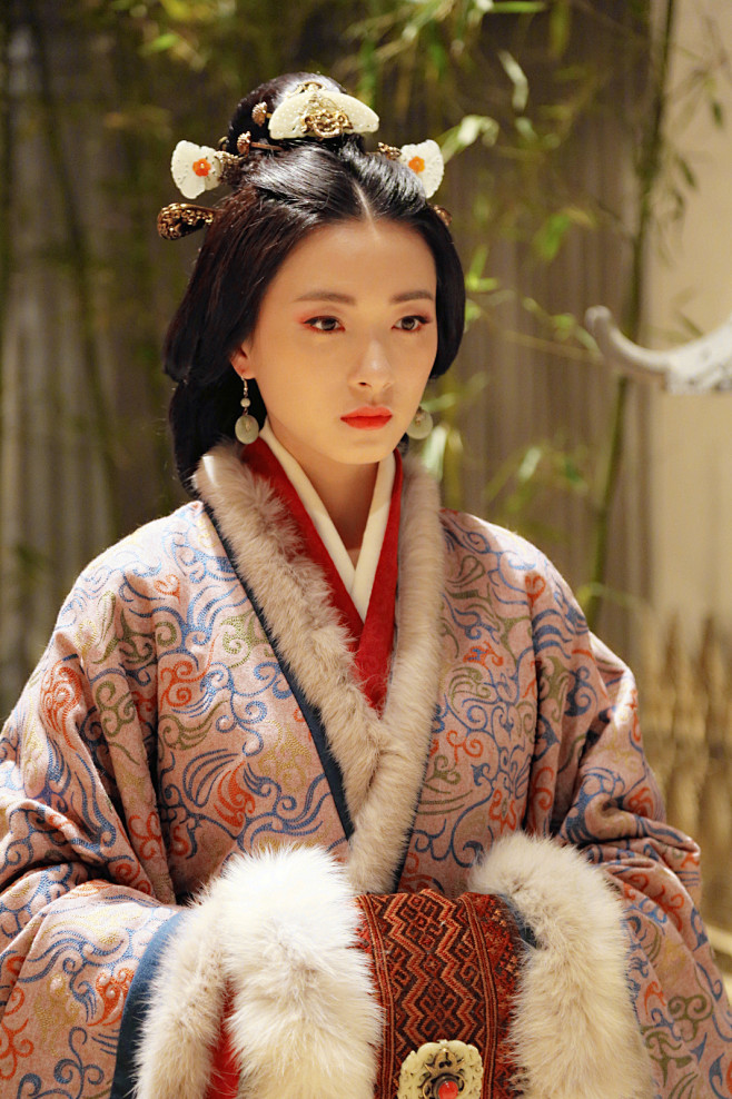 三国机密之潜龙在渊伏寿