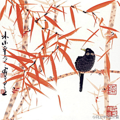 Doriszuo采集到安静之美