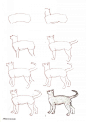 #绘画学习# 一组关于猫的绘画教学，简单清晰的步骤，收了画起来！#素材推荐#